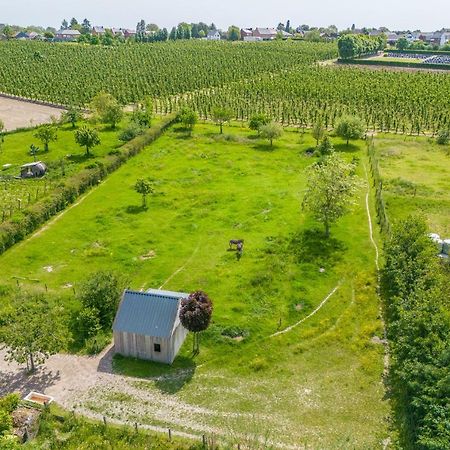 Unique Hideaway, Holiday House With Large Garden Kortenaken Extérieur photo