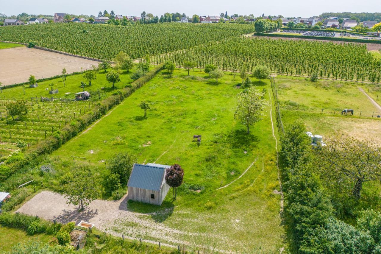 Unique Hideaway, Holiday House With Large Garden Kortenaken Extérieur photo